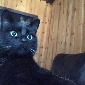 Meet your Posher, James